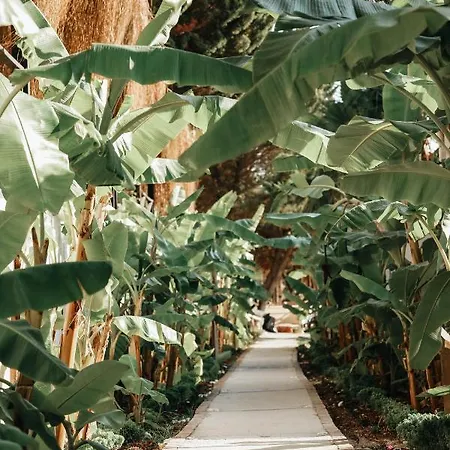 Maja Luxury 4* Çeşme